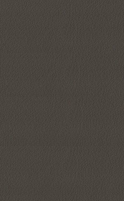 Mercury Flint leather swatch