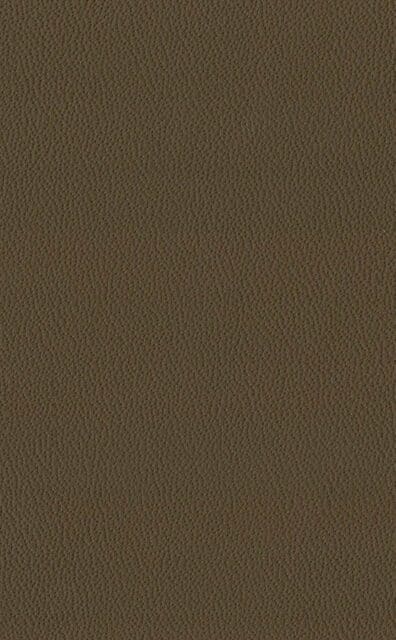 Mercury Earth leather swatch