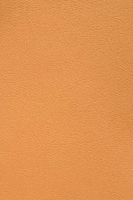 Silverstone 3612 leather swatch