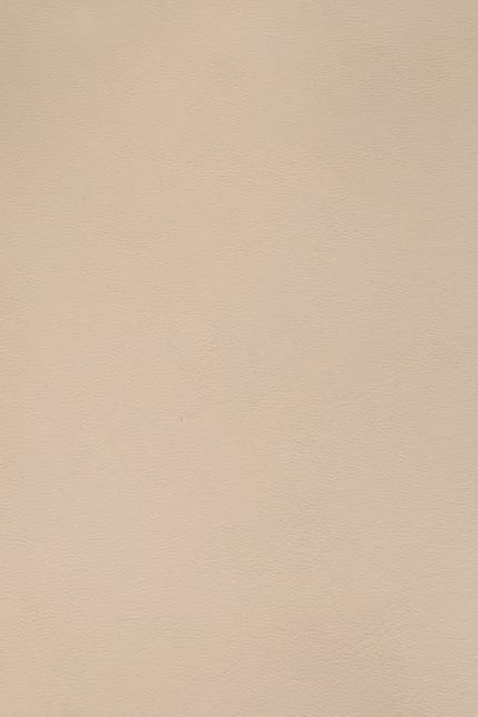 Silverstone 3950 leather swatch