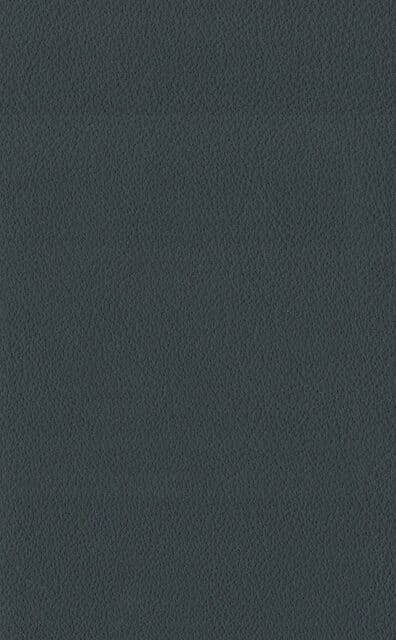 Mercury Schist leather swatch