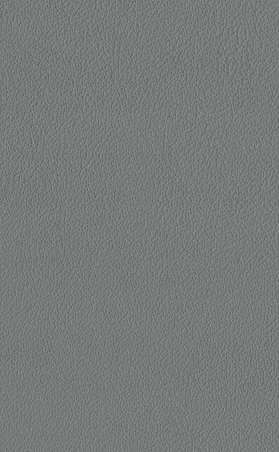 Mercury Steel leather swatch