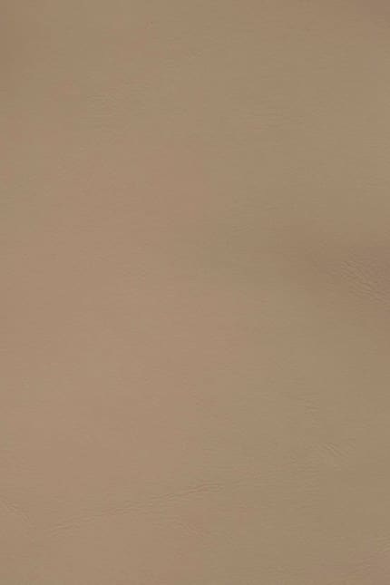 Silverstone 3210 leather swatch