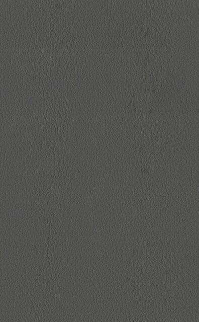 Mercury Graphite leather swatch