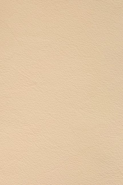 Silverstone 3822 leather swatch
