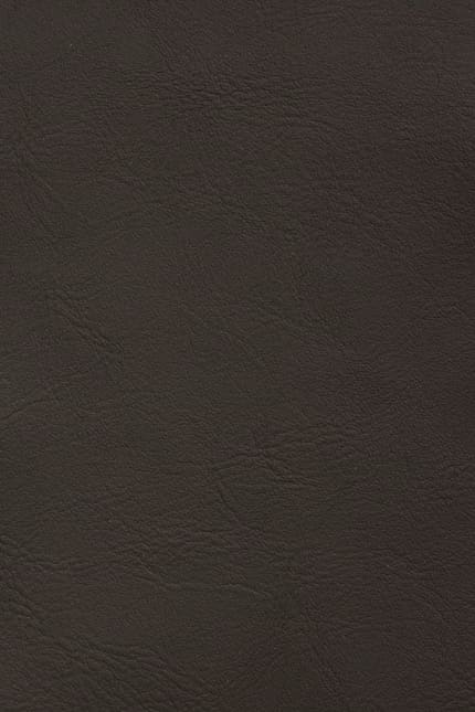 Silverstone 1122 leather swatch