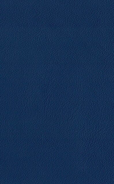 Mercury Cosmo leather swatch
