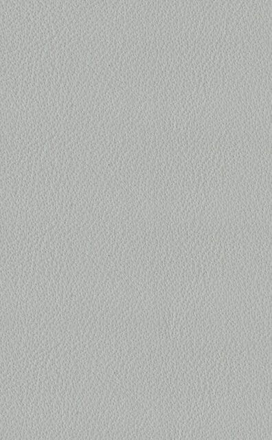 Mercury Pearl leather swatch
