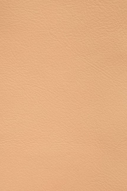 Silverstone 3624 leather swatch