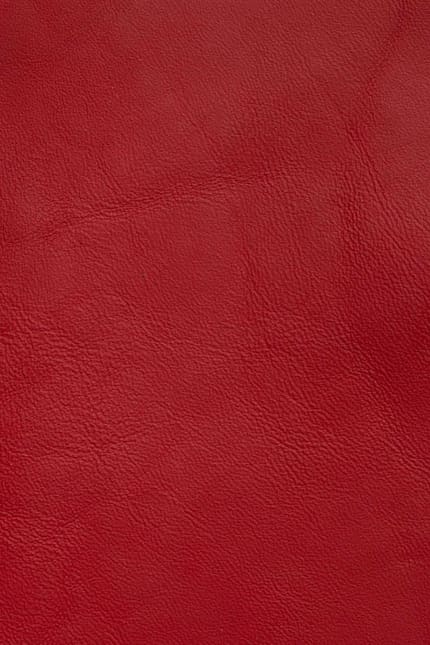 Silverstone 4212 leather swatch