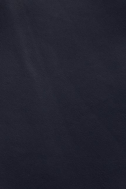 Silverstone 5278 leather swatch