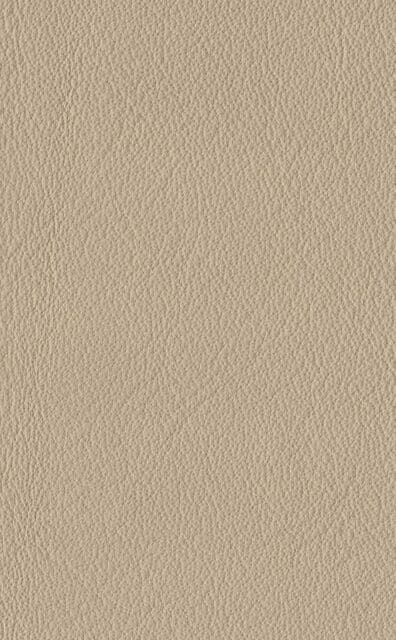 Mercury Oyster leather swatch
