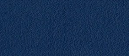 Mercury leather swatch