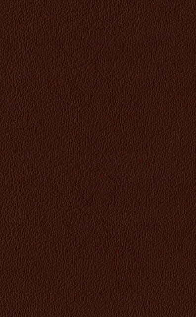 Mercury Burgundy leather swatch