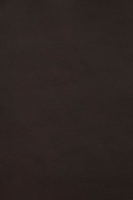 Silverstone 2022 leather swatch