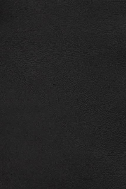 Silverstone 1017 leather swatch