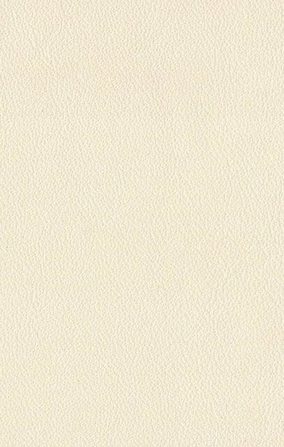 Mercury Ivory leather swatch