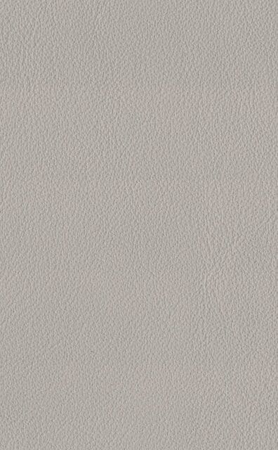 Mercury Sand leather swatch