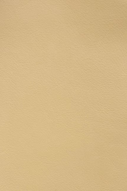 Silverstone 8770 leather swatch