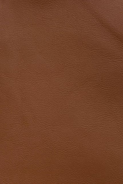 Silverstone 2110 leather swatch