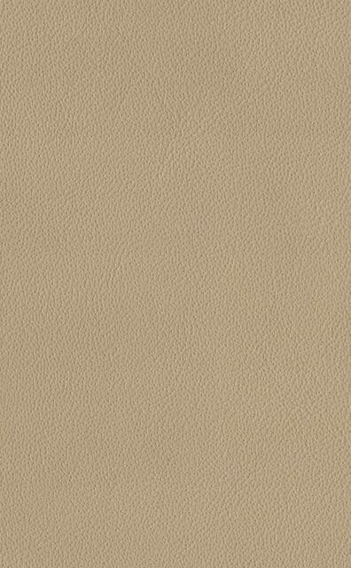Mercury Beige leather swatch