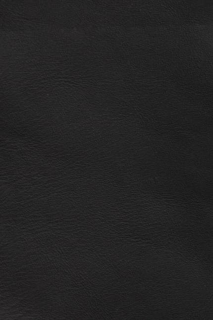 Silverstone 0500 leather swatch