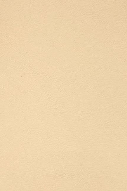 Silverstone 3660 leather swatch