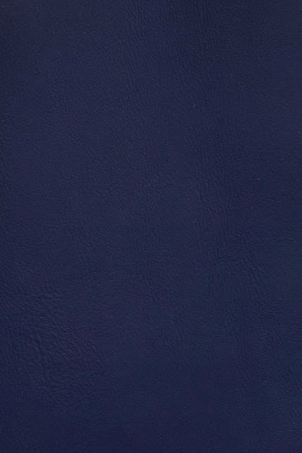 Silverstone 5340 leather swatch