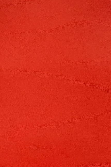 Silverstone 4880 leather swatch