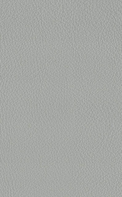 Mercury Dove leather swatch