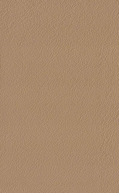 Mercury Champagne leather swatch