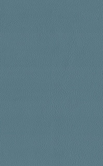 Mercury Sky leather swatch