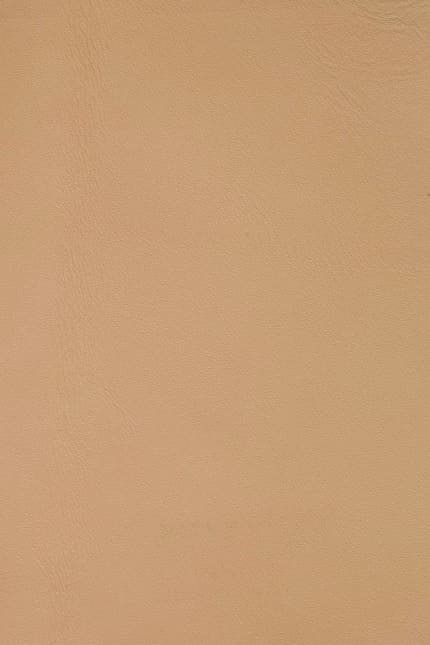 Silverstone 3471 leather swatch